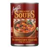 Amy's - Organic Fire Roasted Southwestern Vegetable Soup - Case of 12 - 14.3 oz