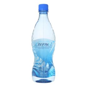 Eternal Naturally Artesian Water - Case of 24 - 600 ml