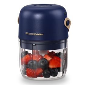 Mini Food Chopper (Color: Blue)