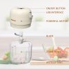 Mini Food Chopper